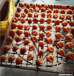 广西桂林平乐桥亭【柿饼之乡】2025年纯手工制作、无任何添加剂的第一批柿饼准备上市了，欢迎联系订购！ - 阿里28生活网 al.28life.com