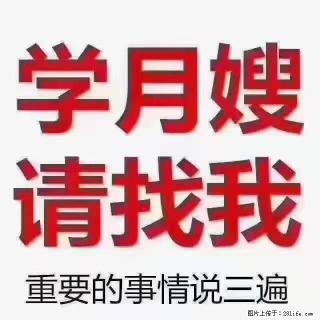 【招聘】月嫂，上海徐汇区 - 阿里28生活网 al.28life.com