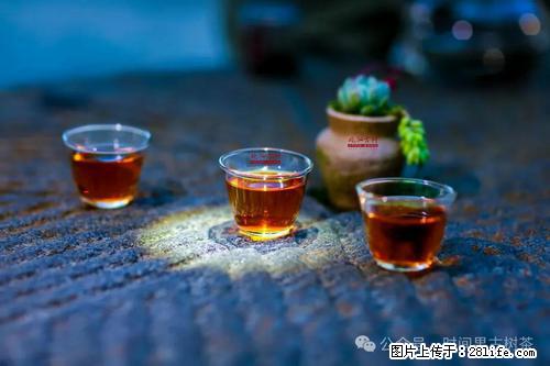 时间果百年古树2025年春红茶 - 购物交流 - 阿里生活社区 - 阿里28生活网 al.28life.com