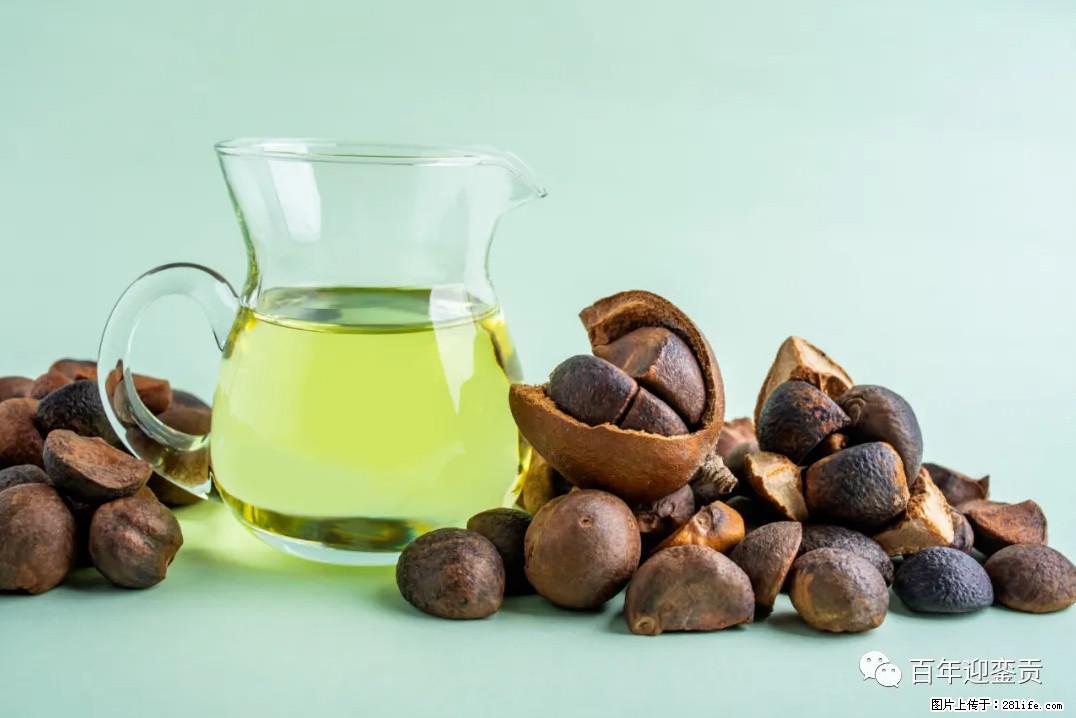 世界没有真相，只有认知，最好的食用油是中国的山茶油！ - 阿里生活资讯 - 阿里28生活网 al.28life.com