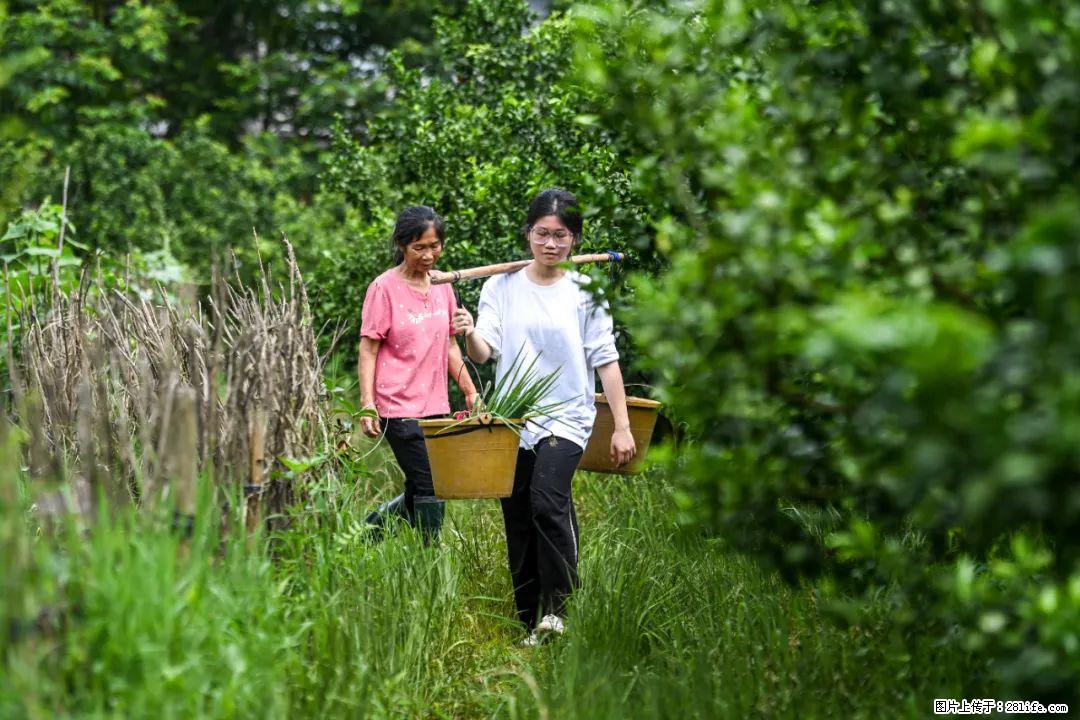 全网追的“扁担女孩”,找了一份暑假工,时薪12元 - 阿里生活资讯 - 阿里28生活网 al.28life.com