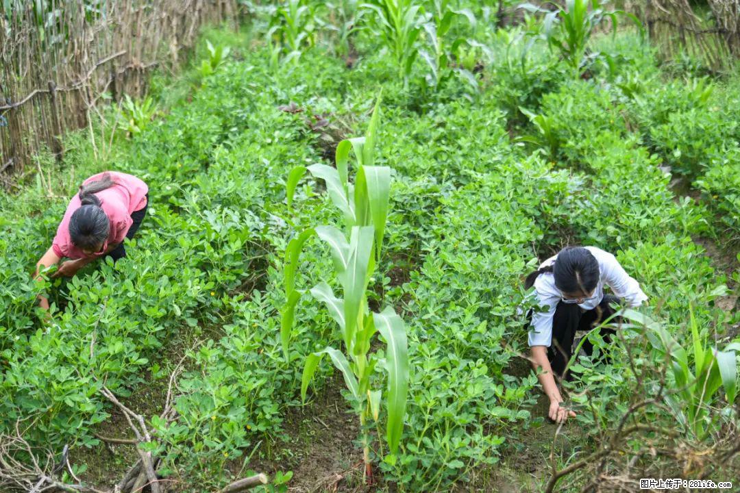 全网追的“扁担女孩”,找了一份暑假工,时薪12元 - 阿里生活资讯 - 阿里28生活网 al.28life.com