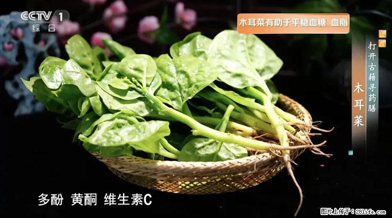 比牛奶补钙还厉害!凉血解毒、稳血糖...这菜冬天必吃,很多人却当草 - 阿里生活资讯 - 阿里28生活网 al.28life.com