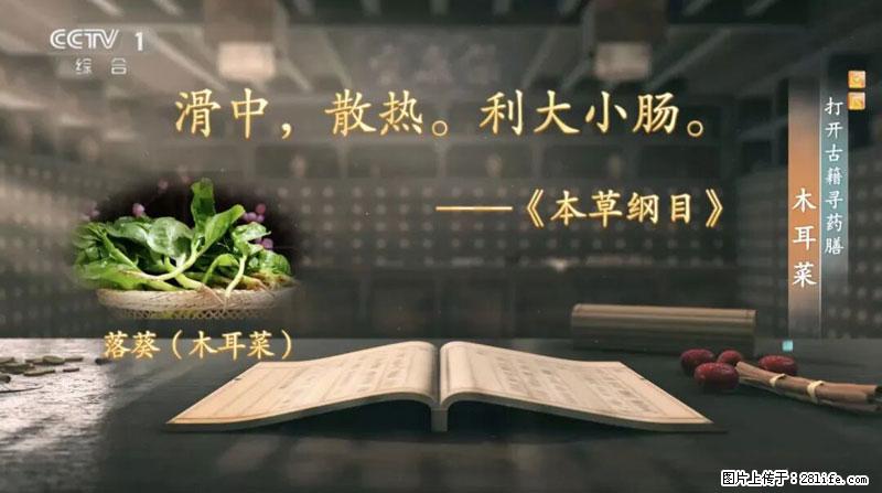 比牛奶补钙还厉害!凉血解毒、稳血糖...这菜冬天必吃,很多人却当草 - 阿里生活资讯 - 阿里28生活网 al.28life.com