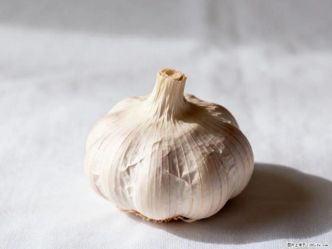 关于大蒜,除了“天然抗生素”,这4个谣言更该警惕! - 阿里生活资讯 - 阿里28生活网 al.28life.com