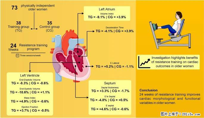 坚持这种运动6个月，心脏有了显著变化！不是跑步，也不是走路 - 阿里生活资讯 - 阿里28生活网 al.28life.com