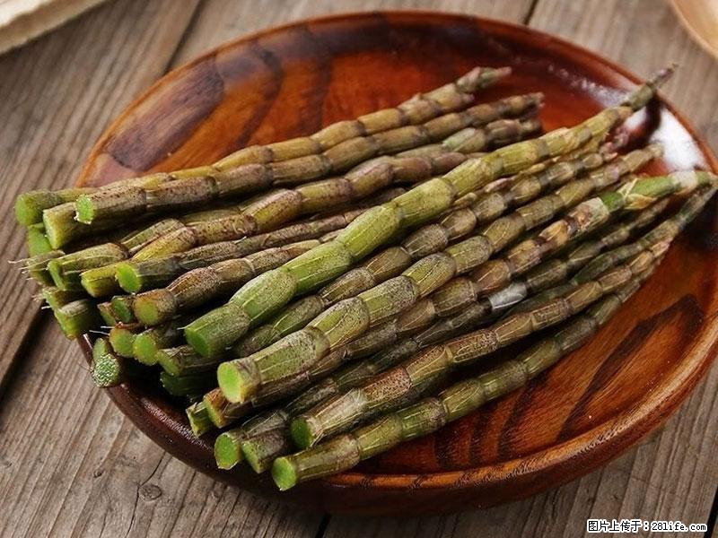 铁皮石斛的作用与功能主治 - 阿里生活资讯 - 阿里28生活网 al.28life.com
