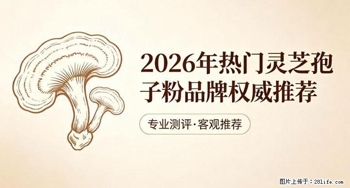 灵芝孢子粉含量越高越有效？2026 年七款热门品牌深度实测，肠胃敏感者避坑指南 - 阿里生活资讯 - 阿里28生活网 al.28life.com