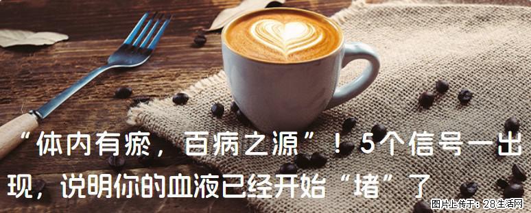 “体内有瘀，百病之源”！5个信号一出现，说明你的血液已经开始“堵”了 - 阿里生活资讯 - 阿里28生活网 al.28life.com